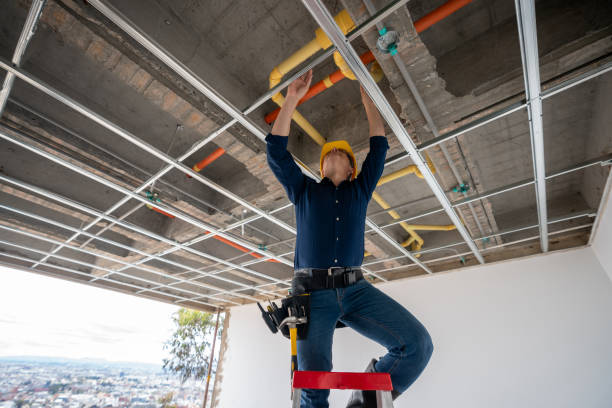 Best Clogged Drain Plumber  in Fox Crossing, WI